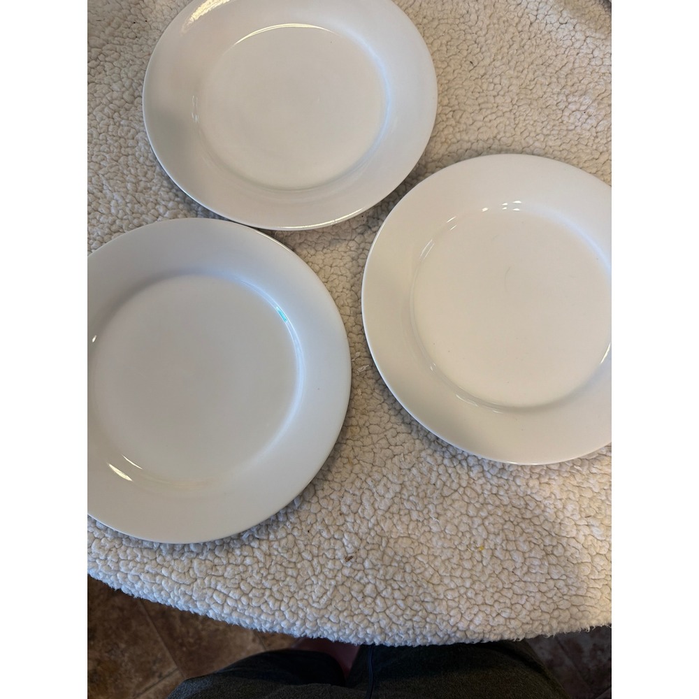 Crate & Barrel Aspen Rimmed Salad Plates Set of 3 White Porcelain 8 Inch 568-686